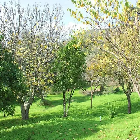 The Dog Alájar